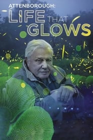 Assistir Filme Attenborough's Life That Glows Online HD