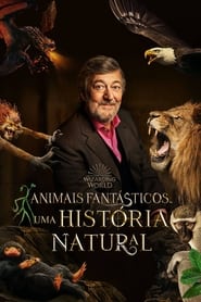 Assistir Filme Animais Fantásticos Uma História Natural Online HD