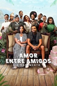 Assistir Filme Amor Entre Amigos: O Casamento Online HD
