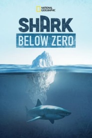 Assistir Filme Shark Below Zero Online HD