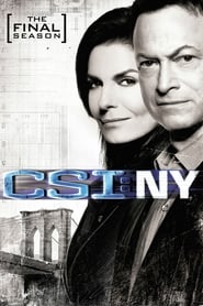 Assistir Serie CSI: Nova York Online HD